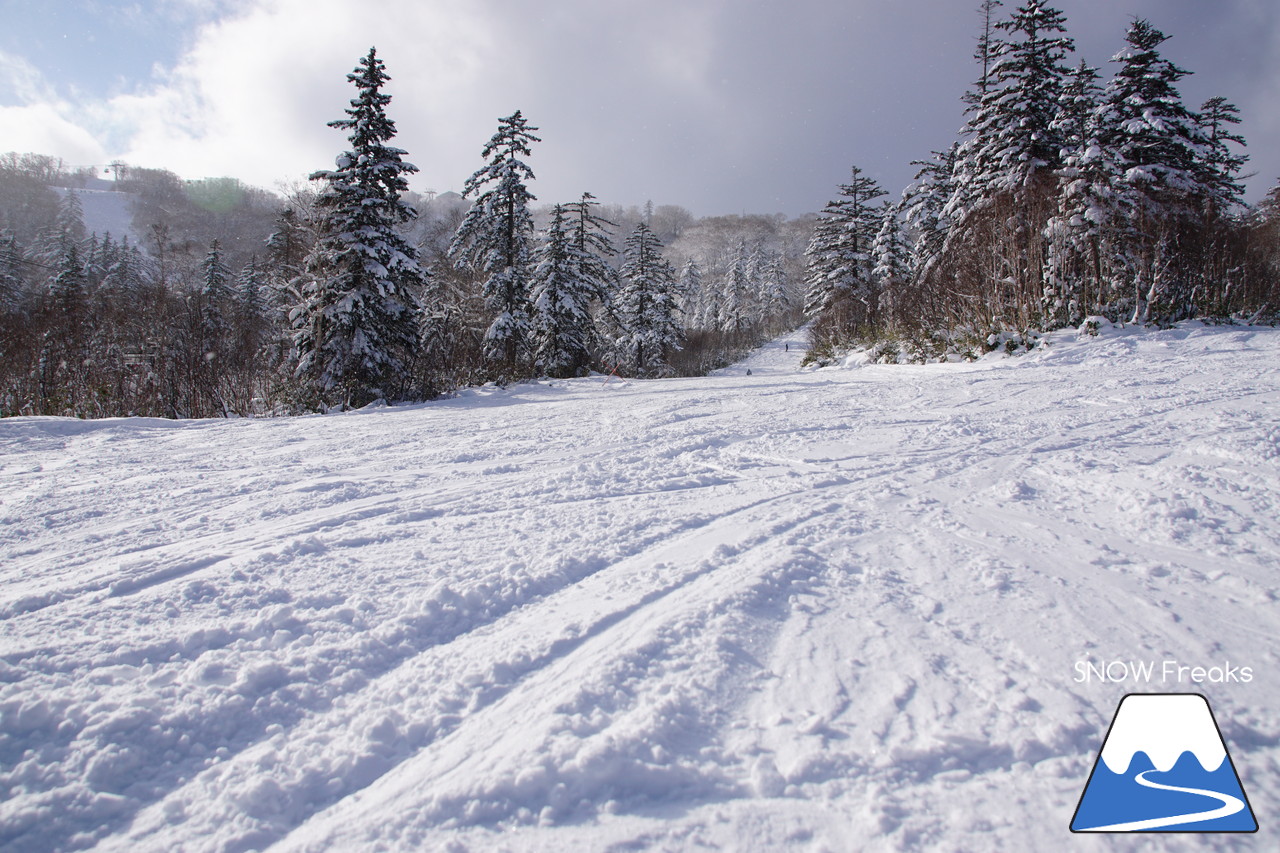 2018-2019 winter ☆パウダースノーで初滑り☆ 北海道札幌市・札幌国際スキー場